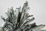 3.9" Metallic Stibnite Crystal Spray - Xikuangshan Mine, China - #175925-1
